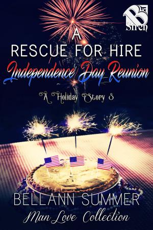 Book cover of A Rescue for Hire Independence Day Reunion