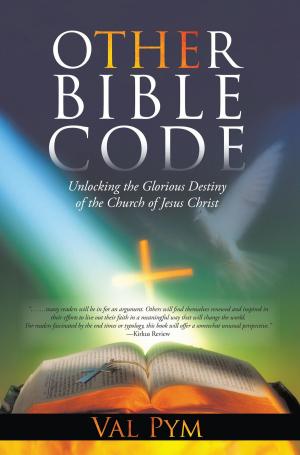 Cover of The Other Bible Code