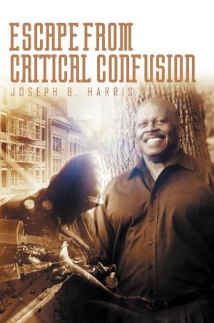 Cover of the book Escape From Critical Confusion by Karen Marie Berard Miño