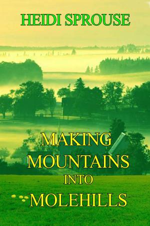 Cover of Making Mountains into Molehills