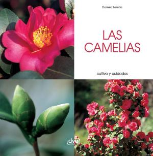 Cover of Las camelias - Cultivo y cuidados