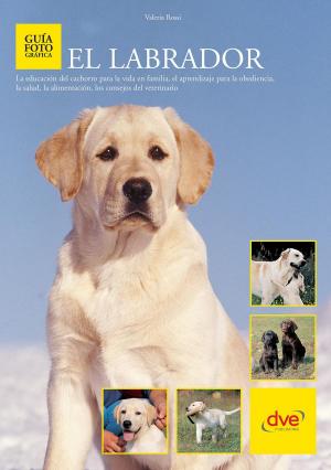 Cover of the book El labrador by S. Fred Singer