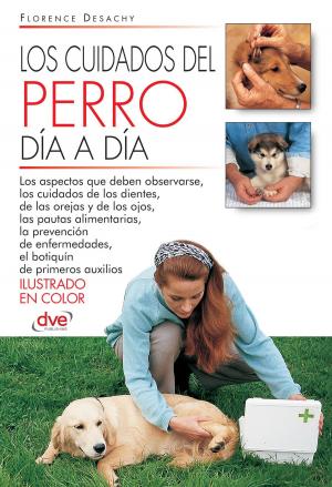 bigCover of the book Los cuidados del perro día a día by 