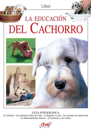 Cover of the book La educación del cachorro by Cesar Millan, Melissa Jo Peltier