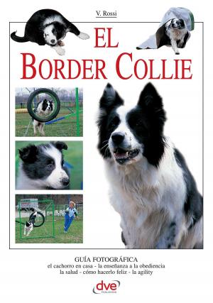 Cover of the book El border collie by Stefano Mayorca