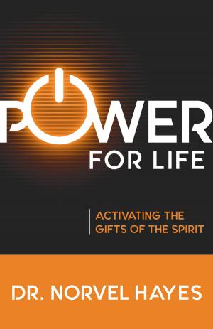 Cover of the book Power for Life by Bill Winston
