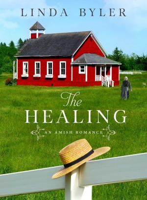 Cover of the book The Healing by John Lapp