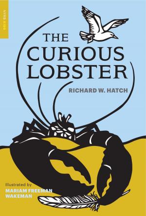 Cover of the book The Curious Lobster by A.J. Lees