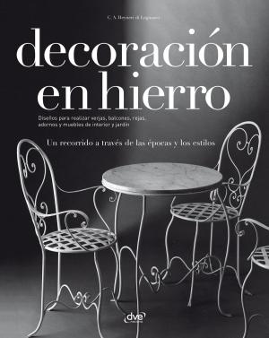 Cover of the book Decoración en hierro by Costanza Caraglio