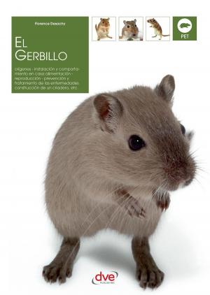 Cover of the book El gerbillo by Stefano Mayorca