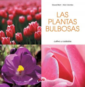 Cover of Las plantas bulbosas - Cultivo y cuidados