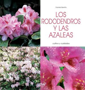 Cover of the book Los rododendros y las azaleas - Cultivo y cuidados by Beth Hensen