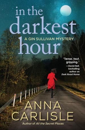 Cover of the book In the Darkest Hour by R. J. Noonan