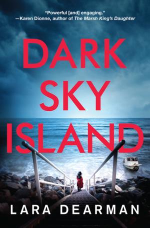 Cover of the book Dark Sky Island by Amanda Flower