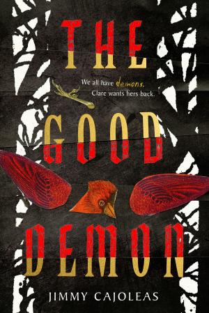 Cover of the book The Good Demon by Todd Selby
