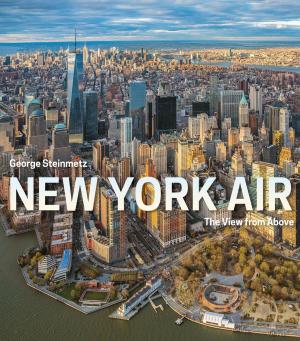 Cover of the book New York Air by Andrea Linett, Anne Johnston Albert