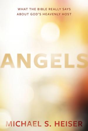 Cover of the book Angels by Michael S. Heiser