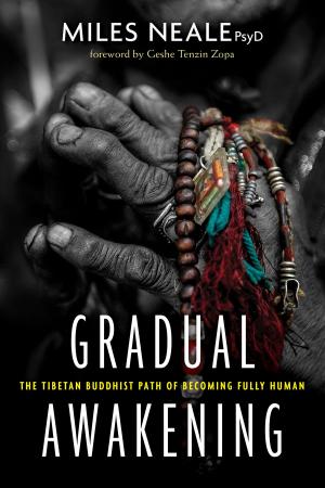 Cover of the book Gradual Awakening by Robert Peng, Rafael Nasser