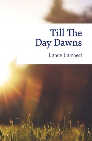 Book cover of Till The Day Dawns