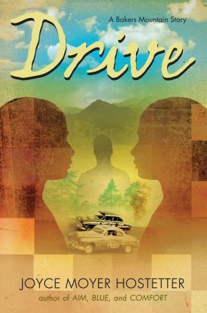 Cover of the book Drive by Nikki Grimes