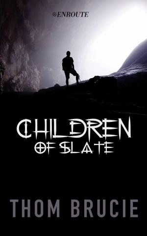 Book cover of Children of Slate