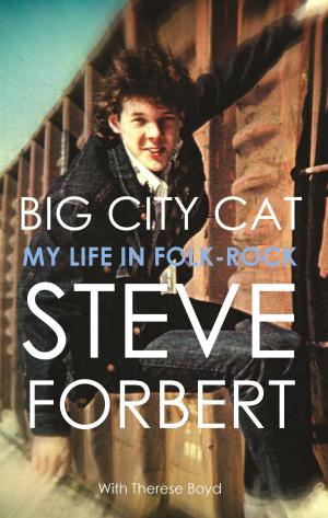 Book cover of Big City Cat