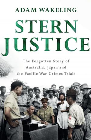 Book cover of Stern Justice