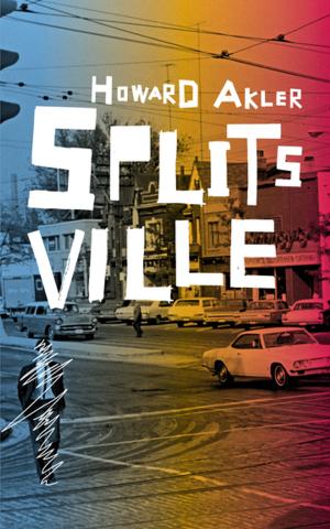 Cover of the book Splitsville by Karen Hines