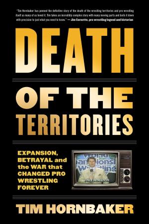 Cover of the book Death of the Territories by Robert Priest