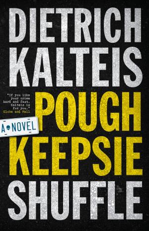 Cover of the book Poughkeepsie Shuffle by Allison Baggio