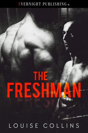 Cover of the book The Freshman by Rebecca Brochu
