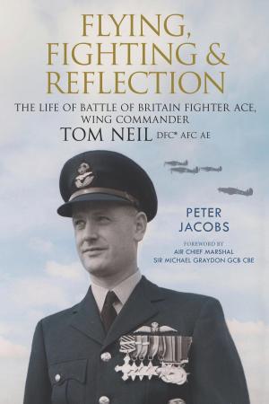 Cover of the book Flying, Fighting and Reflection by Adrian Stewart