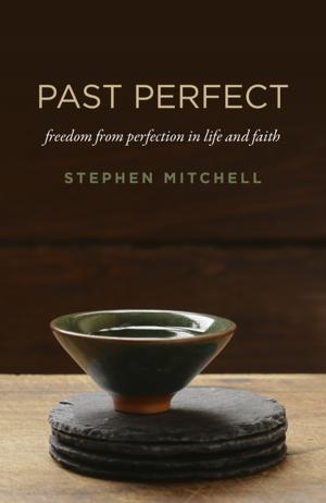 Cover of the book Past Perfect by Llyn Roberts