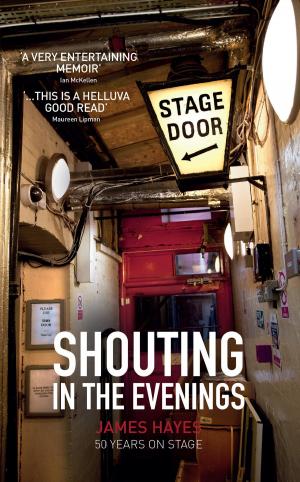Cover of the book Shouting in the Evenings by David Tolfree