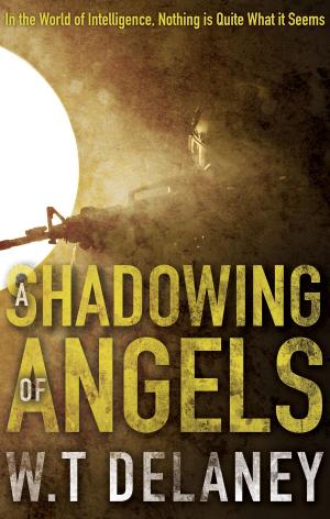 Cover of the book A Shadowing of Angels by Judah LaBrie