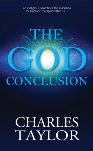Cover of the book The God Conclusion by Paul Talafo