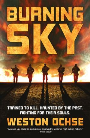 Cover of the book Burning Sky by Paul Kearney