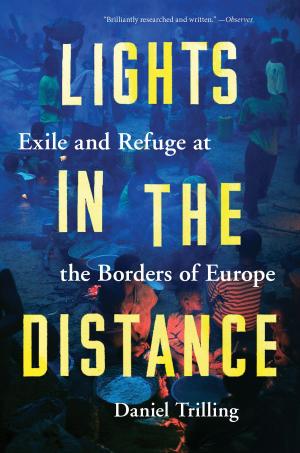 Cover of the book Lights in the Distance by Norman G. Finkelstein