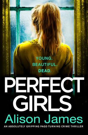 Cover of the book Perfect Girls by Frances Vick