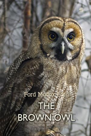 Cover of the book The Brown Owl by G. Mead