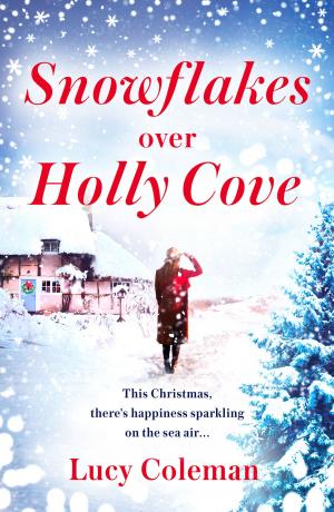 Cover of the book Snowflakes Over Holly Cove by Simon Key