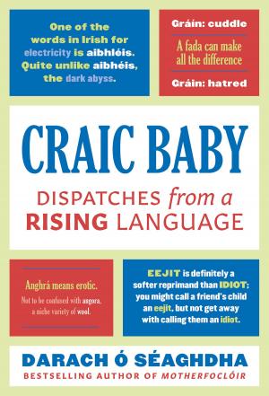 Cover of the book Craic Baby by Jenny Valentish