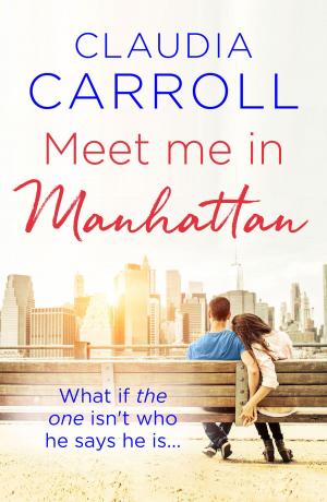 Book cover of Meet Me in Manhattan