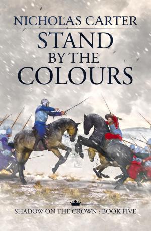 Cover of the book Stand by the Colours by Miles Kington