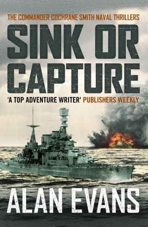Cover of the book Sink Or Capture by Erica Brown