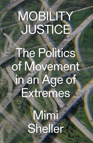 Book cover of Mobility Justice