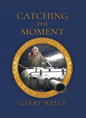 Cover of the book Catching the Moment by Peter Taylor-Gooby