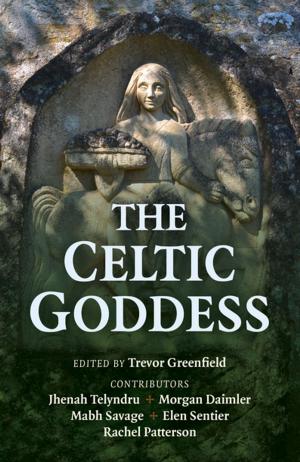 Cover of the book The Celtic Goddess by David Slattery-Christy