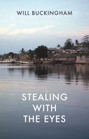 Book cover of Stealing with the Eyes