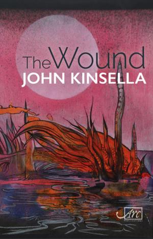 Book cover of The Wound